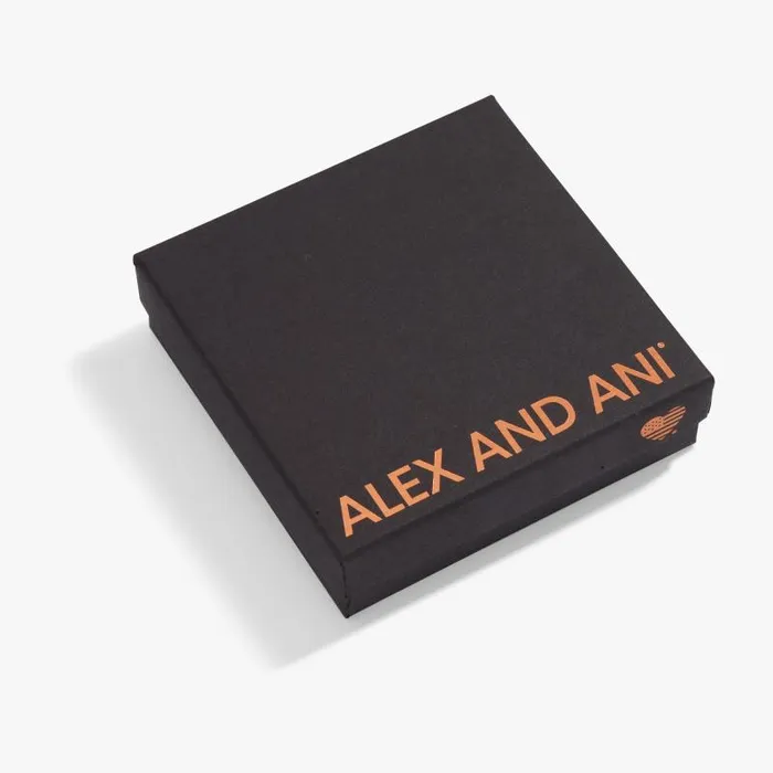 Accessories Women Alex And Ani Gift Box