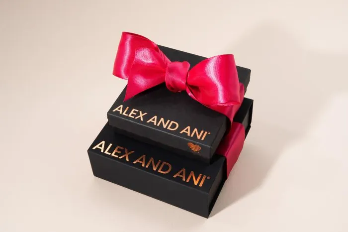 Accessories Women Alex And Ani Gift Box