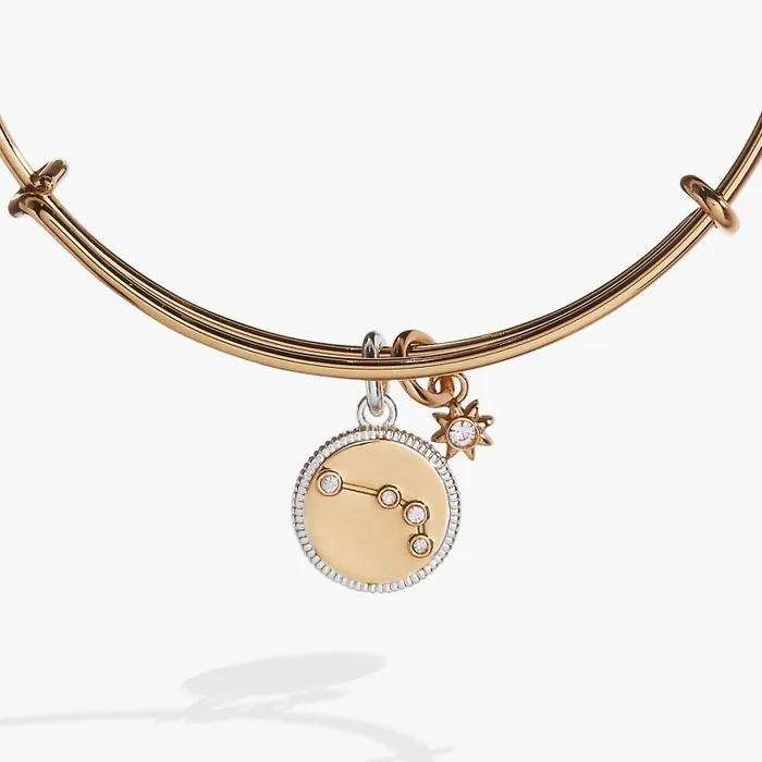 Bracelets Women Alex And Ani Aries Zodiac Charm Bangle Two Tone