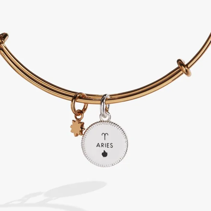 Bracelets Women Alex And Ani Aries Zodiac Charm Bangle Two Tone