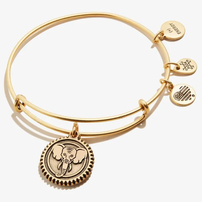 Bracelets Women Alex And Ani Elephant Embossed Charm Bangle Rafaelian Gold