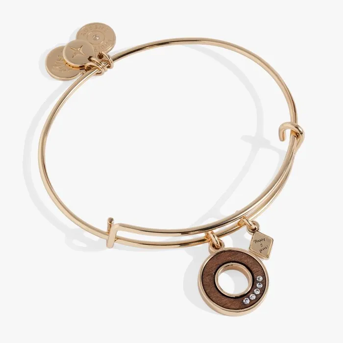 Bracelets Women Alex And Ani FiveYear Anniversary Bangle Shiny Gold