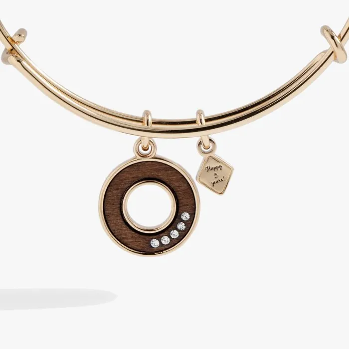 Bracelets Women Alex And Ani FiveYear Anniversary Bangle Shiny Gold