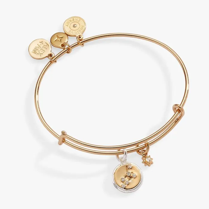 Bracelets Women Alex And Ani Leo Zodiac Charm Bangle Two Tone
