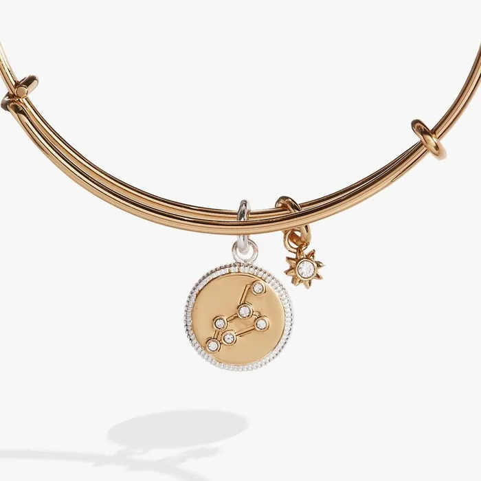 Bracelets Women Alex And Ani Leo Zodiac Charm Bangle Two Tone
