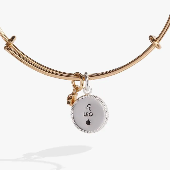 Bracelets Women Alex And Ani Leo Zodiac Charm Bangle Two Tone