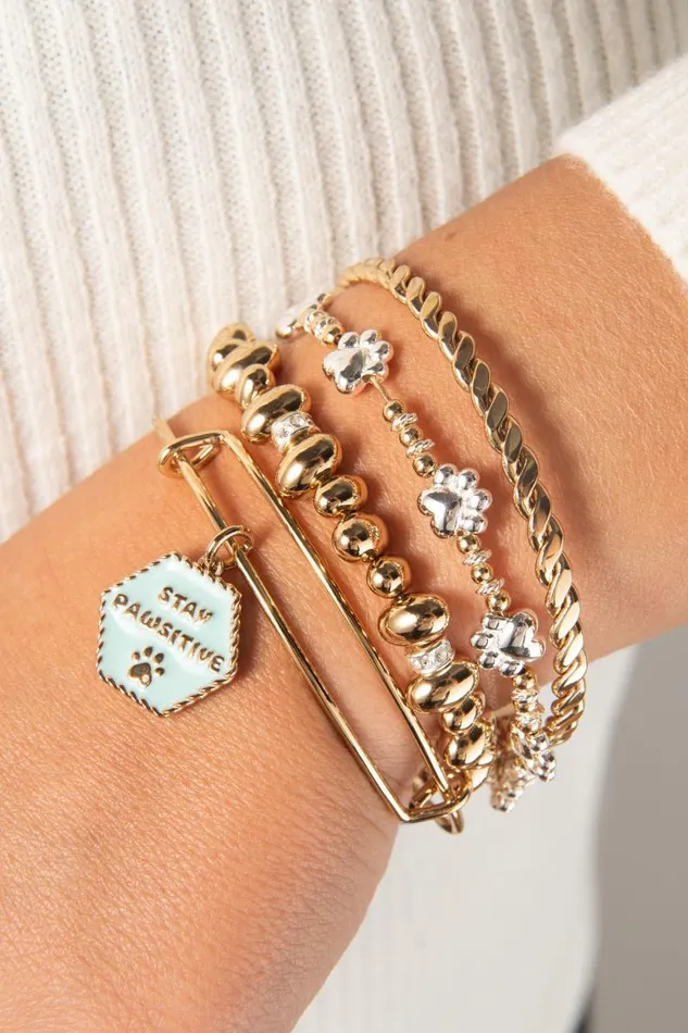 Bracelets Women Alex And Ani Paw Print Beaded Dog Bangle Two Tone