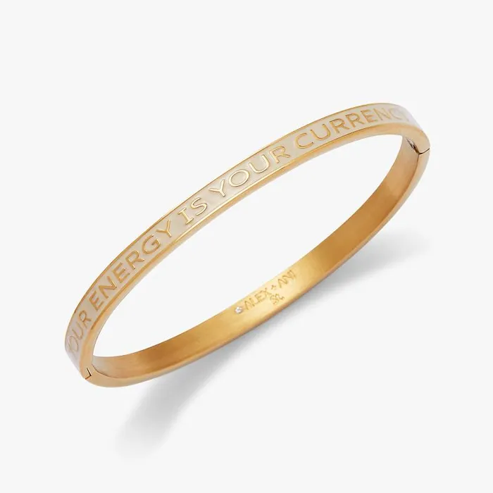 Bracelets Women Alex And Ani Your Energy Is Your Currency039 Hinge Bangle Stainless Steel Gold Bracelets Women Alex And Ani Your Energy Is Your Currency039 Hinge Bangle Stainless Steel Gold