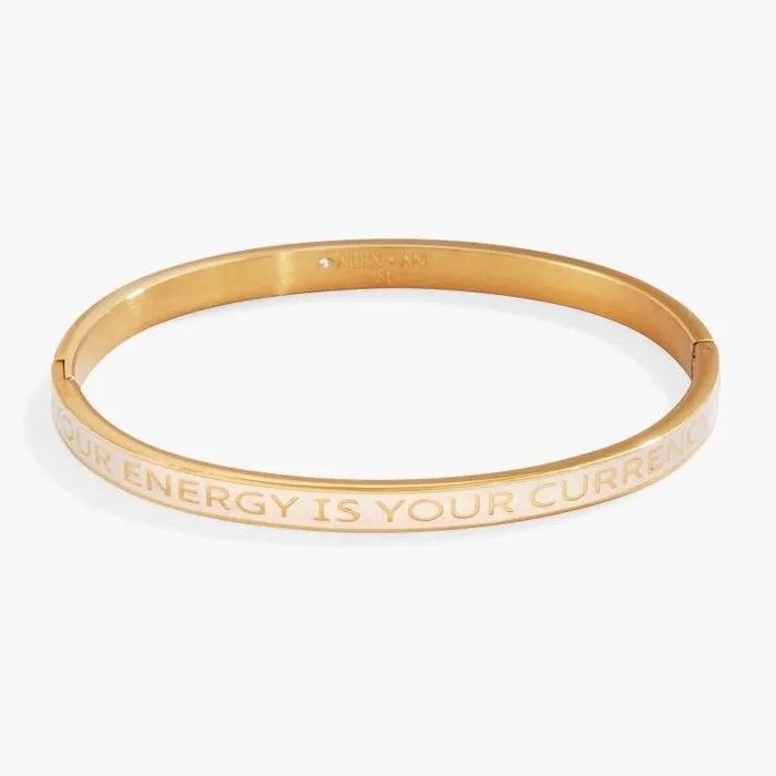 Bracelets Women Alex And Ani Your Energy Is Your Currency039 Hinge Bangle Stainless Steel Gold