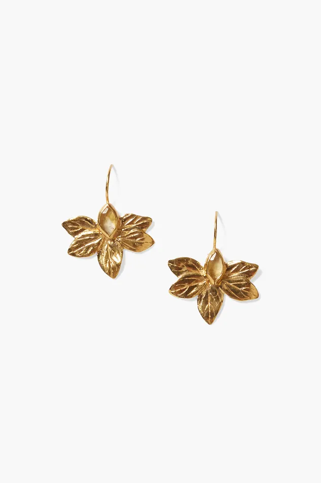 Chan Luu Earrings Sylve Earrings Citrine 8211 Women