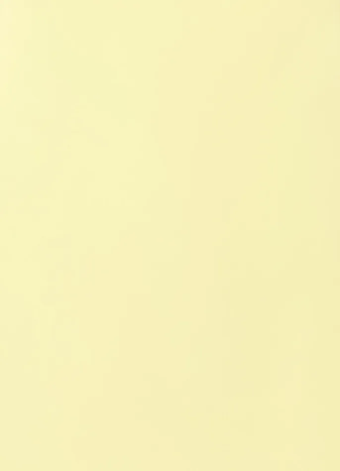 Chloe Sleeveless Mini Dress 8211 Sorbet Yellow Dresses and Jumpsuits LEO LIN Women