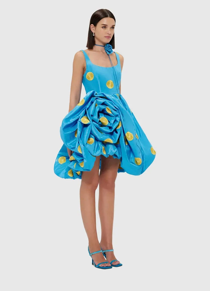 Dresses and Jumpsuits Women LEO LIN Kylee Embroidered Rose Mini Dress 8211 Citrus Embroidery