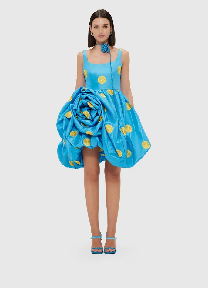 Dresses and Jumpsuits Women LEO LIN Kylee Embroidered Rose Mini Dress 8211 Citrus Embroidery