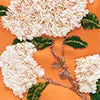 Dresses and Jumpsuits Women Lucinda Embellished Maxi Dress 8211 Hydrangea Print in Tangerine LEO LIN