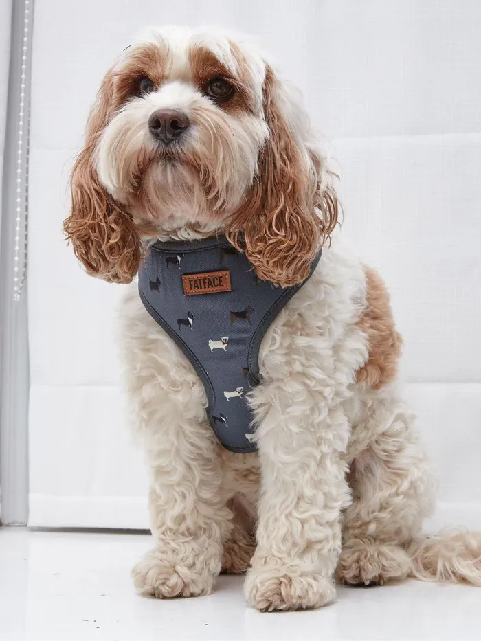 Fat Face Pet Accessories Grey Dogs Medium Harness