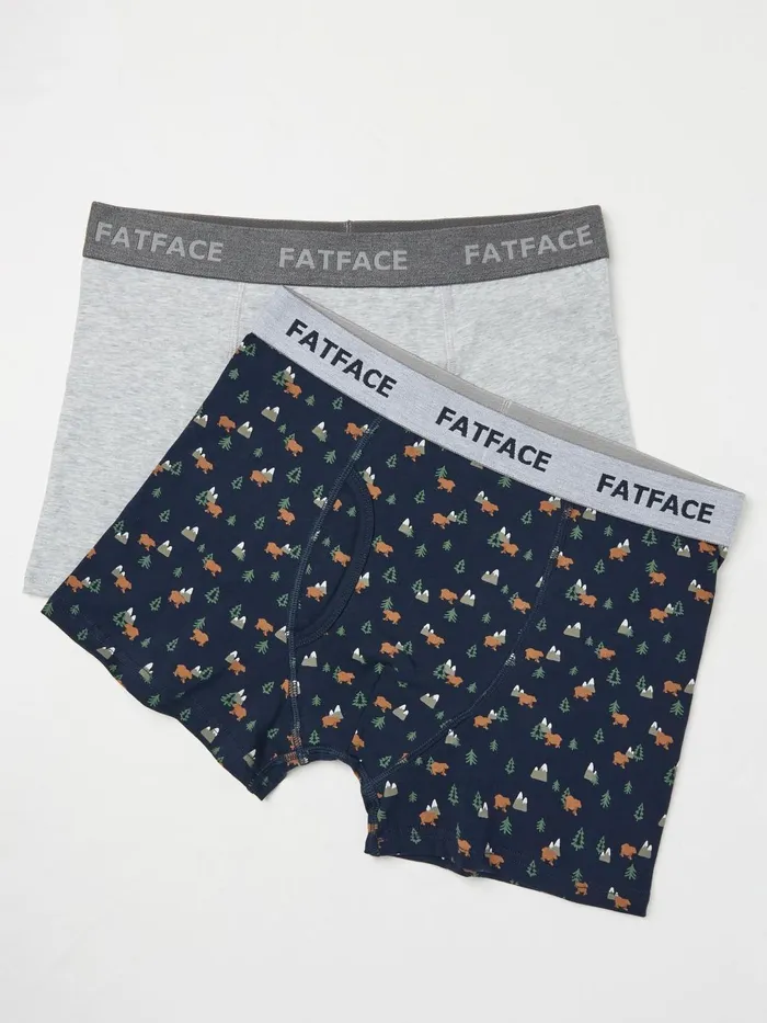Fat Face Underwear Navy Bear Print Boxers 2 Pack 8211 Men
