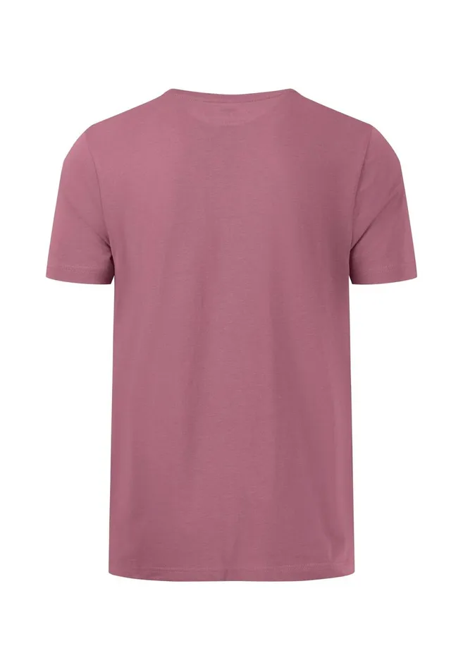 FYNCHHATTON Tshirt With A Round Neckline Dark Emeraldvibrant Bluerustlight Khakicloud Bluegrass Greenflamepale Blush Men Tshirts