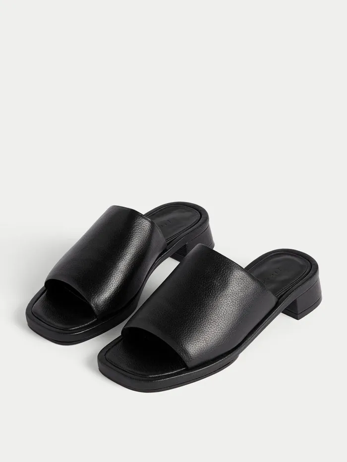 Jigsaw Shoes and Sandals Women Eastbury Leather Mule Black