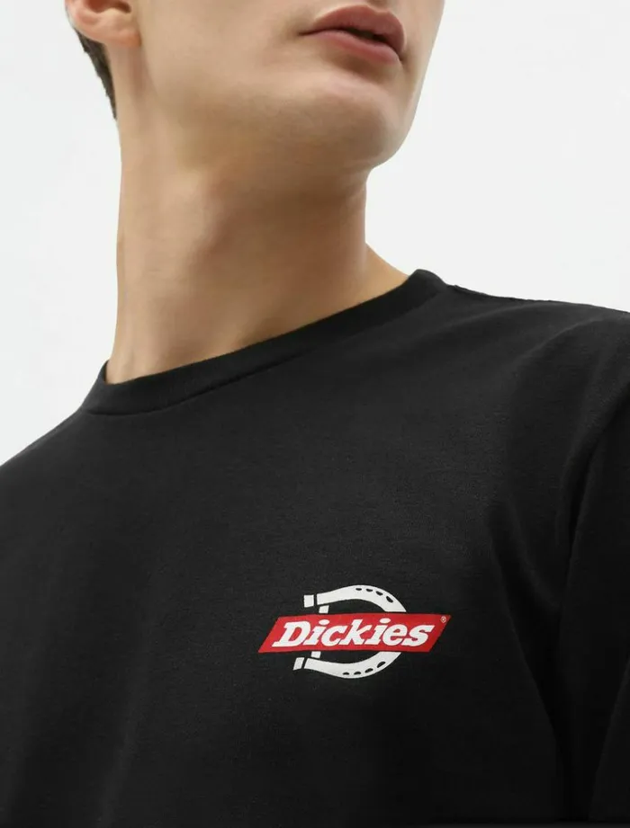 Men TShirts Dickies Ruston TShirt Black