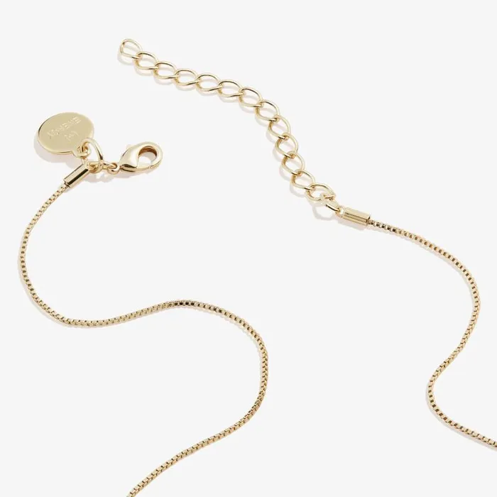 Necklaces Women Alex And Ani Ruby Heart Necklace July Birthstone Silver