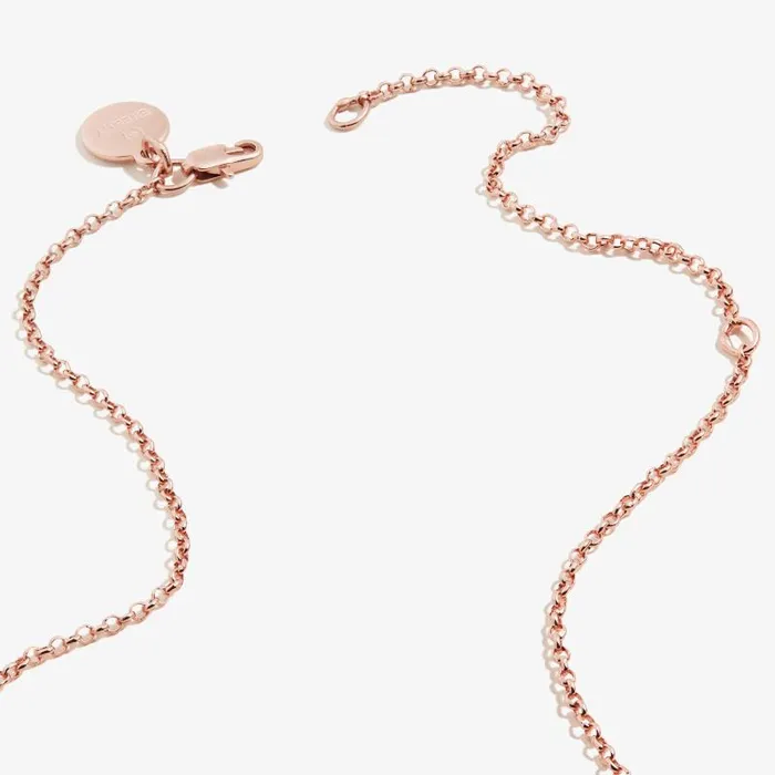 Necklaces Women Alex And Ani Watermelon Charm Necklace Shiny Rose Gold