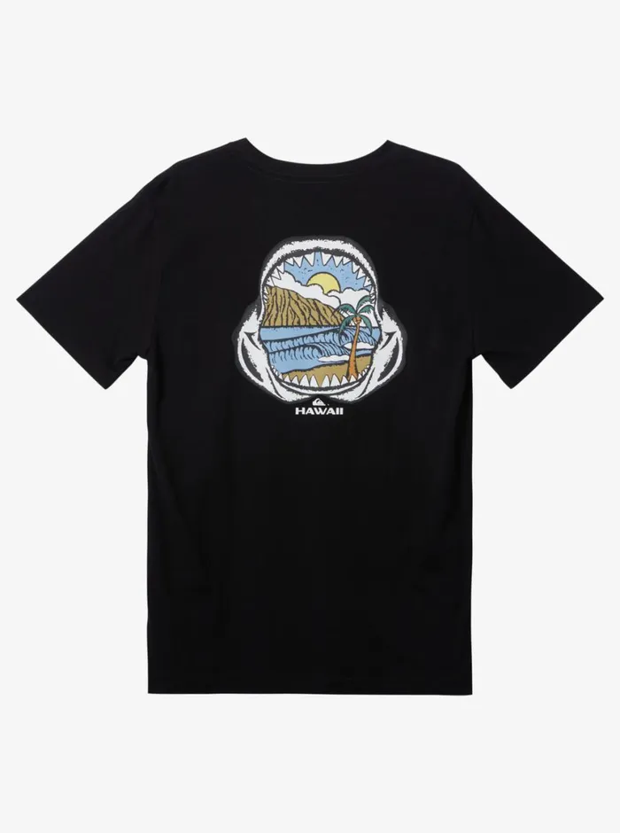 Quiksilver 816 Hawaii Keep In Rhythm Youth TShirt Black Boys Tees Quiksilver 816 Hawaii Keep In Rhythm Youth TShirt Black Boys Tees
