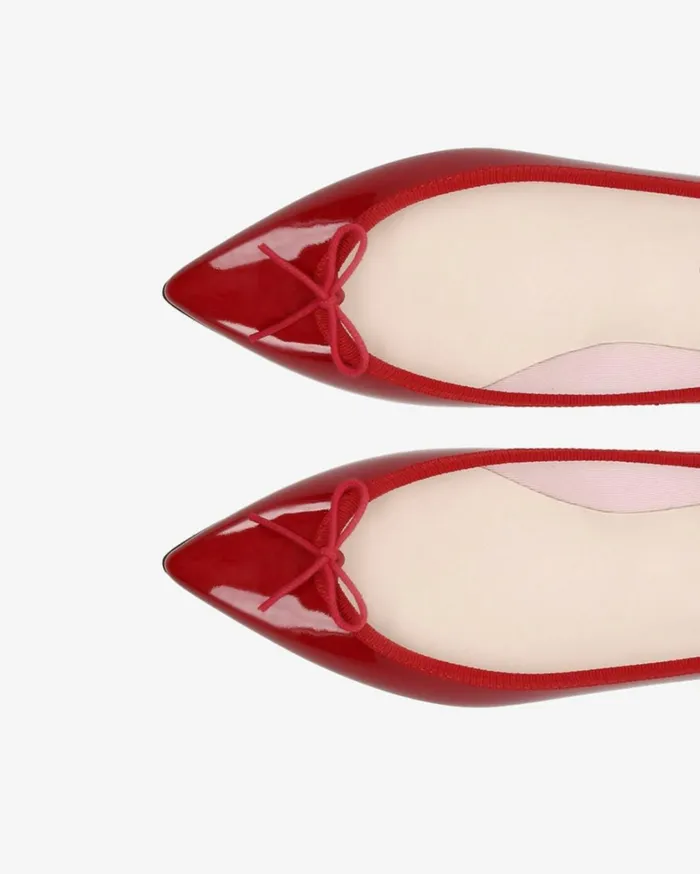 Repetto Ballerinas Women Brigitte Pointy Toe Ballerinas