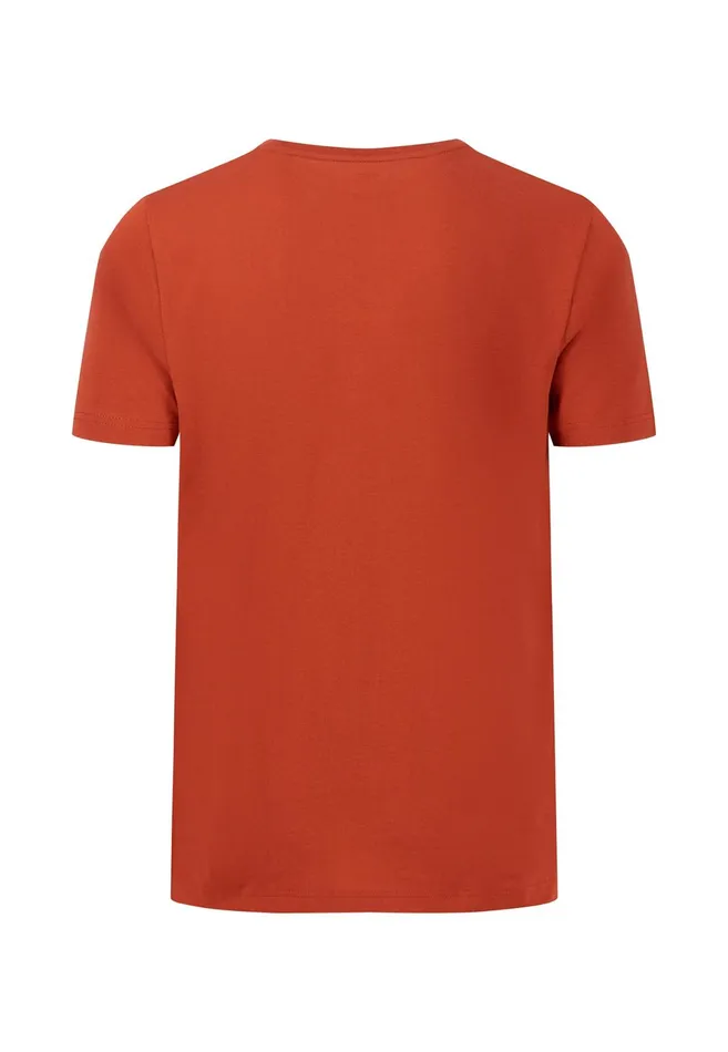 Tshirts Men FYNCHHATTON Tshirt With A Round Neckline Dark Emeraldvibrant Bluerustlight Khakicloud Bluegrass Greenflamepale Blush
