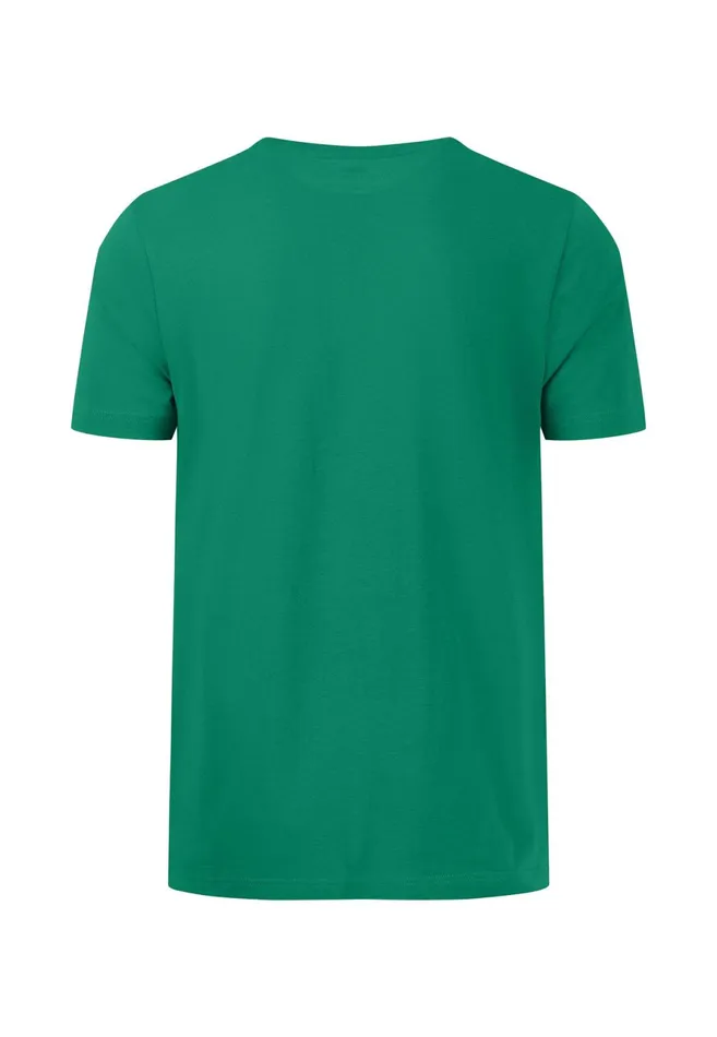 Tshirts Men FYNCHHATTON Tshirt With A Round Neckline Dark Emeraldvibrant Bluerustlight Khakicloud Bluegrass Greenflamepale Blush