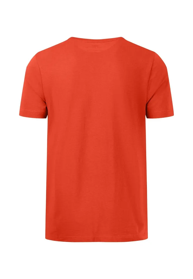 Tshirts Men FYNCHHATTON Tshirt With A Round Neckline Dark Emeraldvibrant Bluerustlight Khakicloud Bluegrass Greenflamepale Blush