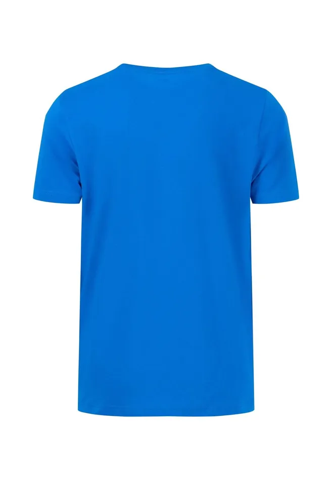 Tshirts Men FYNCHHATTON Tshirt With A Round Neckline Dark Emeraldvibrant Bluerustlight Khakicloud Bluegrass Greenflamepale Blush