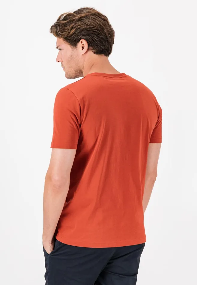Tshirts Men FYNCHHATTON Tshirt With A Round Neckline Dark Emeraldvibrant Bluerustlight Khakicloud Bluegrass Greenflamepale Blush