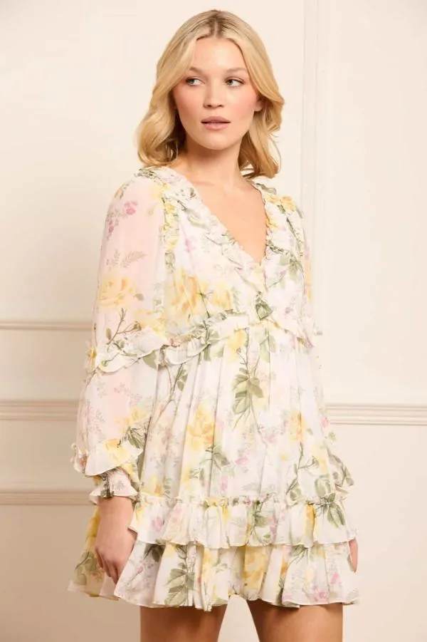 WeddingWomen Needle and Thread Rose Chiffon Long Sleeve Micro Mini Dress Multi
