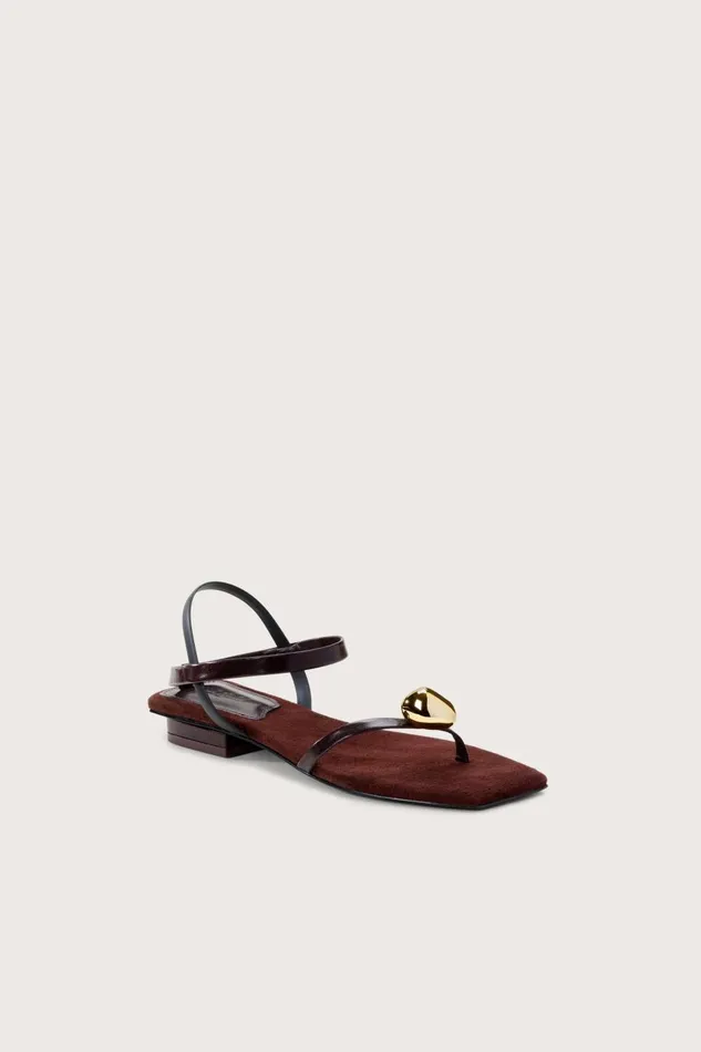 Women Cult Gaia Flats ILLENE SANDAL 8211 ESPRESSO Women Cult Gaia Flats ILLENE SANDAL 8211 ESPRESSO