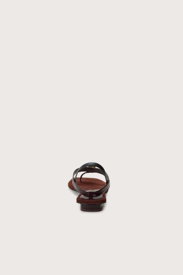 Women Cult Gaia Flats ILLENE SANDAL 8211 ESPRESSO Women Cult Gaia Flats ILLENE SANDAL 8211 ESPRESSO