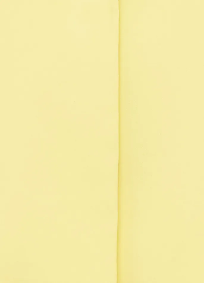 Women Jovanna Blazer 8211 Sorbet Yellow Coats and Jackets LEO LIN
