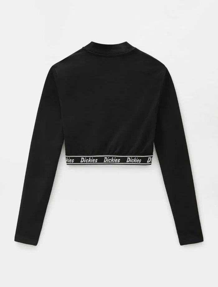 Women TShirts and Tops Dickies Petersburg Crop TShirt Black